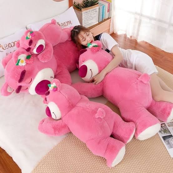 Productos de Lotso en Quito Ecuador